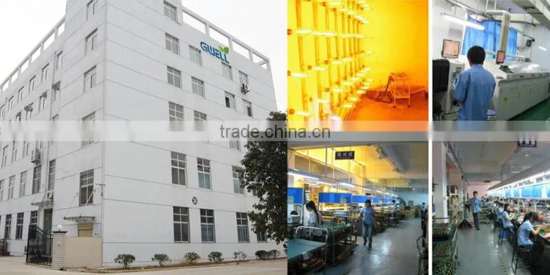 OEM OR ODM 210W,315W CMH/ CDM electronic ballast for Philip Cosmopolis and Elite Lighting