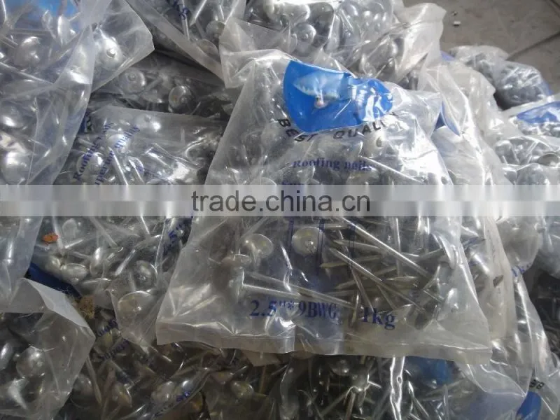 roofing coil nails 3.05*25 shank smooth