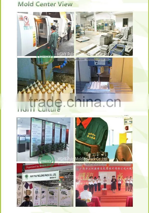 3000pcs/hr pulp molded egg tray machine egg carton machine