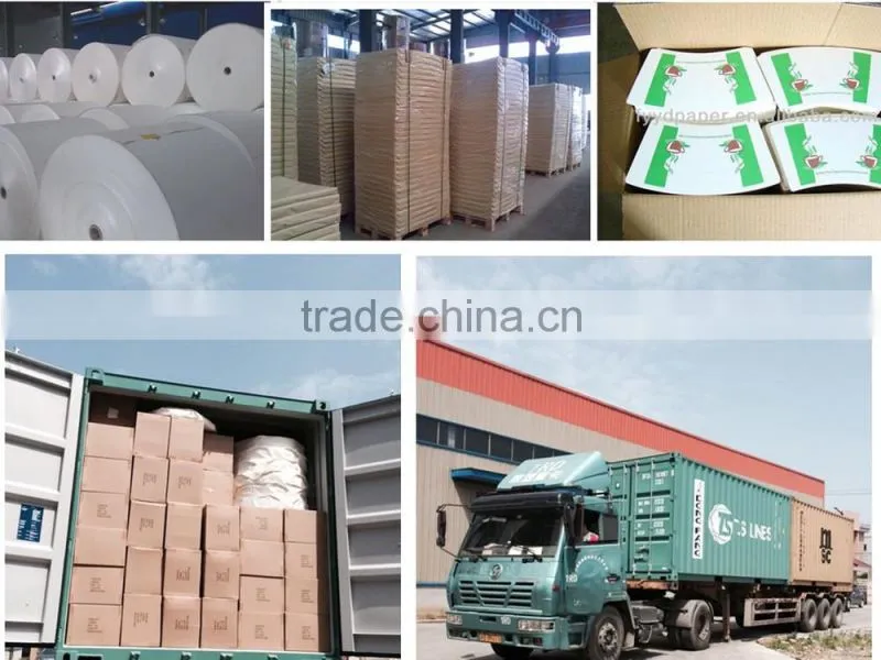 Flexo printed single wall hot coffee paper cup factory supply