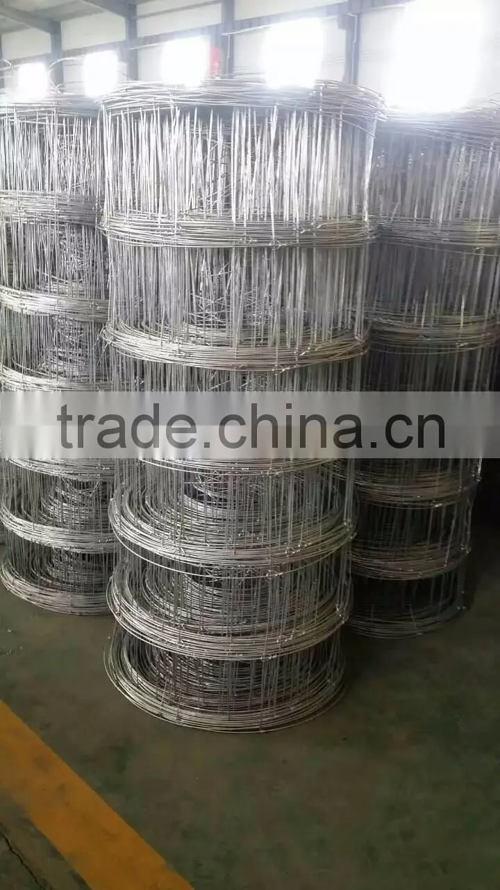 Hot galvanized grassland fence hot sale