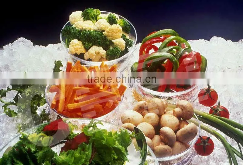 Mini Ice Block Maker for Freshing Vegetables