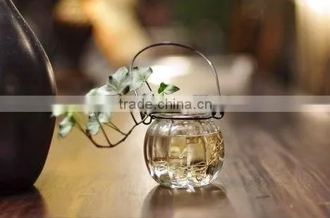 pumpkin shaped glass hanging jar