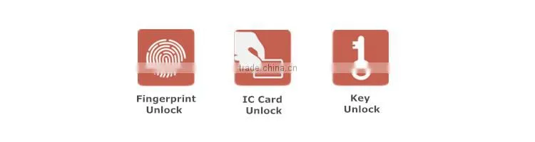 Fingerprint Electronic Stainless Steel Swing Door Lock Made in China
