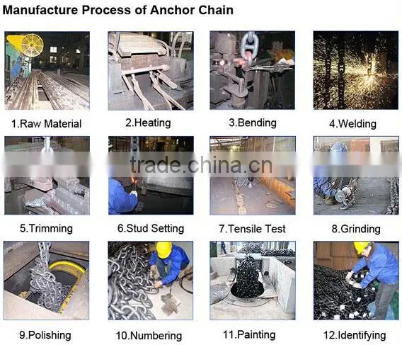 D TYPE MARINE ANCHOR SHACKLE