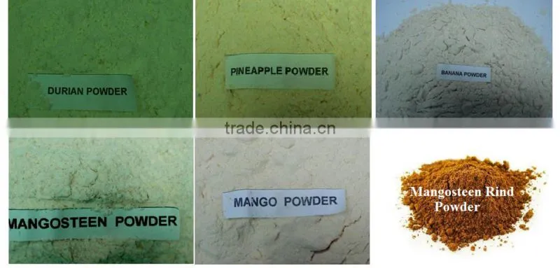 Dry Fruit powder Export to US : Vacuum Freeze Dried Red Dragon fruit powder from Thailand