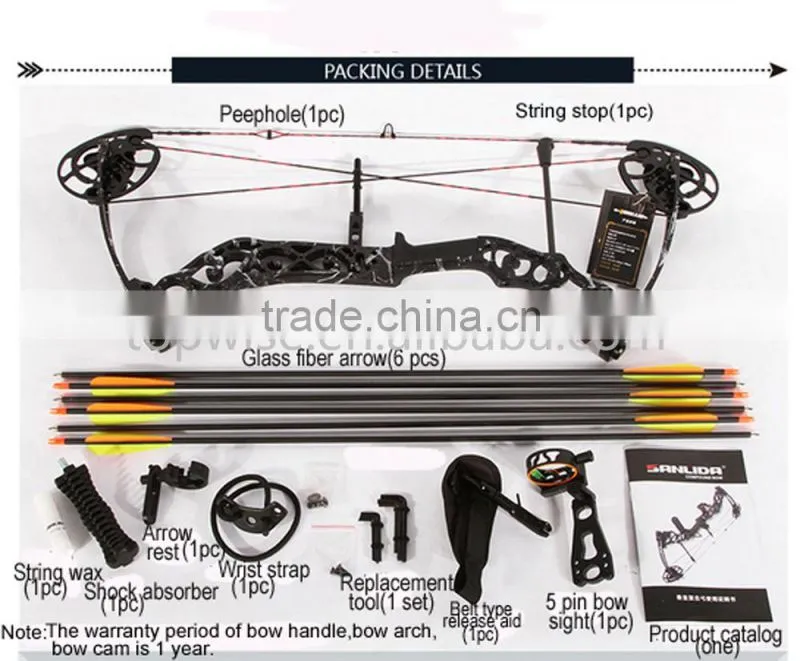 2016 New Design Compound Bow for Hunting and Shooting