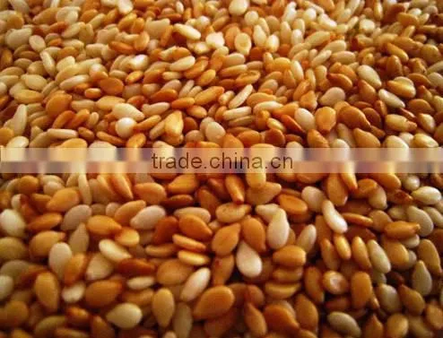 Toasted Sesame Seeds