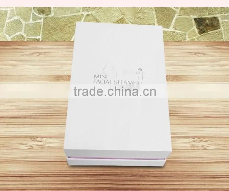 Best thing to sell 12ml usb portable cold and hot facial steamer