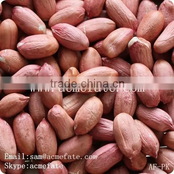 new production commom raw peanut kernels 25/29