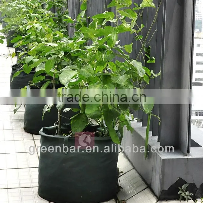Supply indoor wall hanging planter plants on wall felt fabric planter