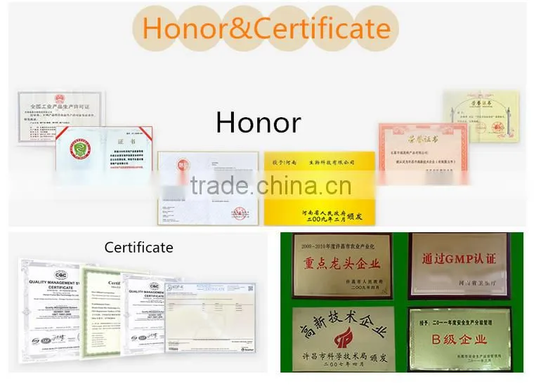Hot Sale Bee Tool Plastic Comb Beewax Foundation Sheets