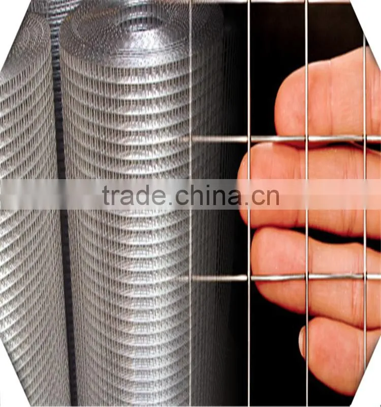 China Wholesale Professional Manufacture Galvanized Welded Wire Mesh/pvc coated/stainless steel welded Wire Mesh