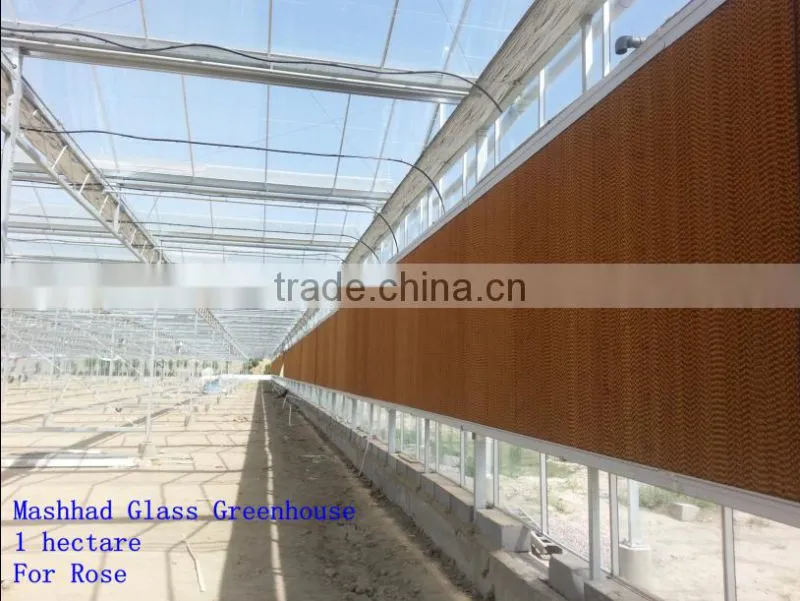 commercial rose multi-span glass green house for sale