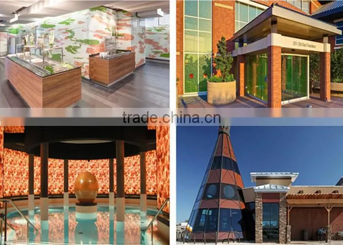 CE Certificated 4-19mm Thick Decorative Back Painted Tempered Glass