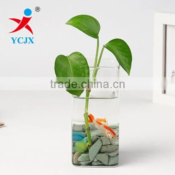 DECORATIVE CLEAR SQAURE HAND GLASS PLANT TERRARIUM