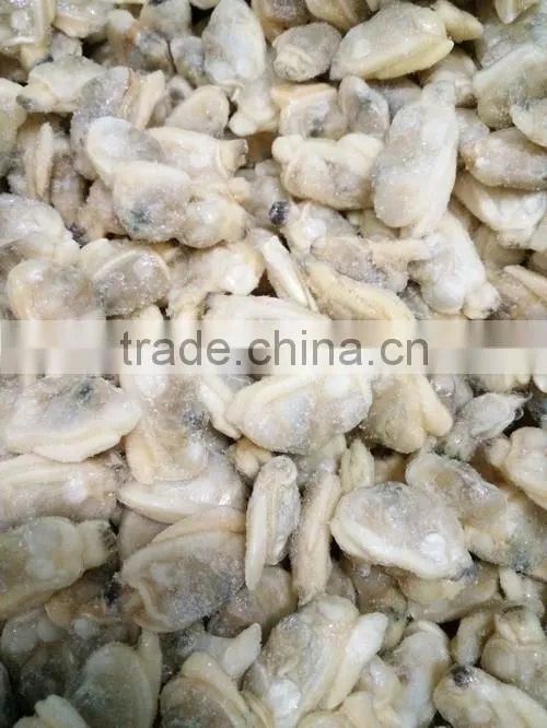 IQF cooked baby clam meat without shell for export