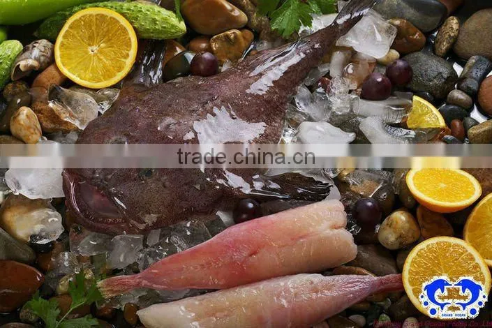 frozen monkfish tail meat