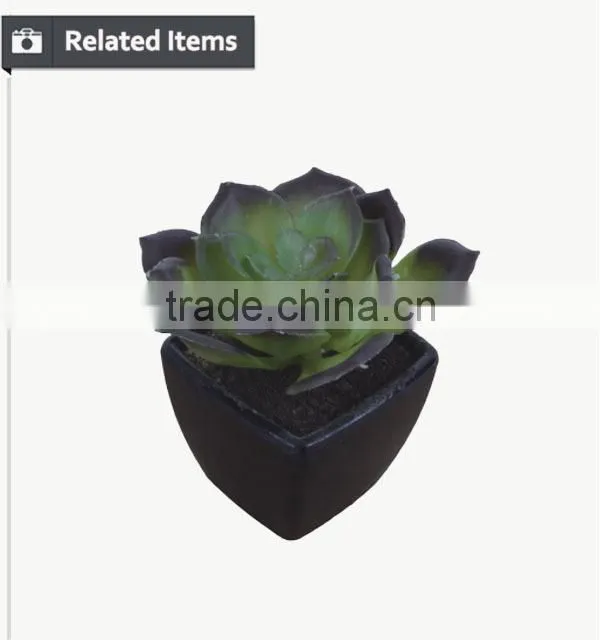 Mini decorative home and office table potted succulent plant