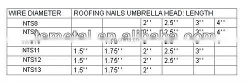 Steel Twisted Shank Roofing Nail