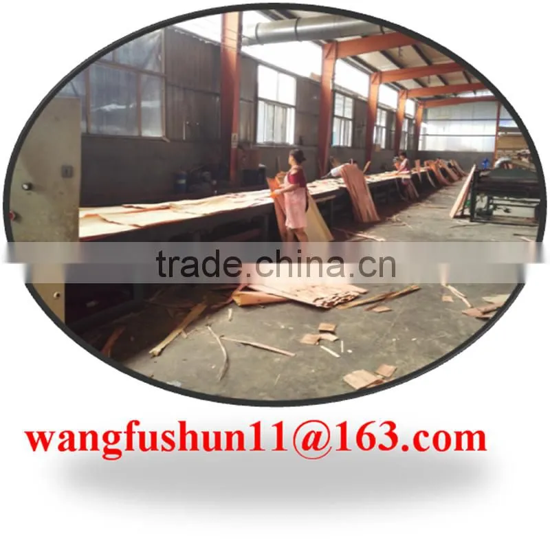 Poplar lvl poplar lvb for packing Malaysia poplar lvl