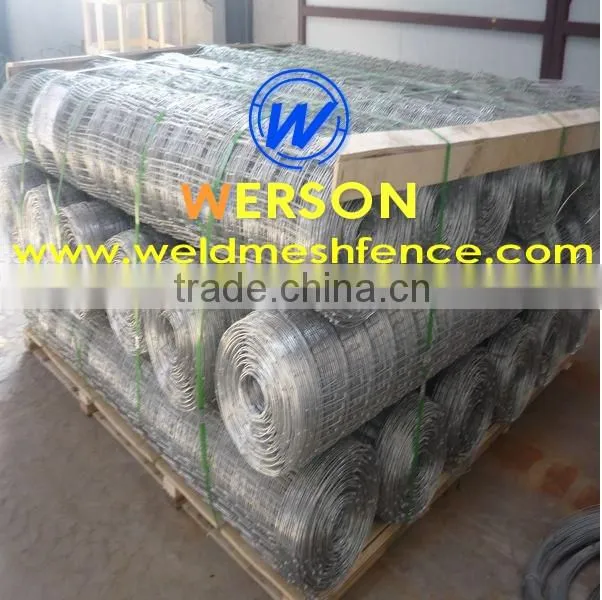 hot dipped galvanized Horse Fence,cattle fence| werson fence