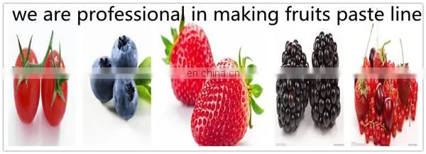 Strawberry Jam Production Line
