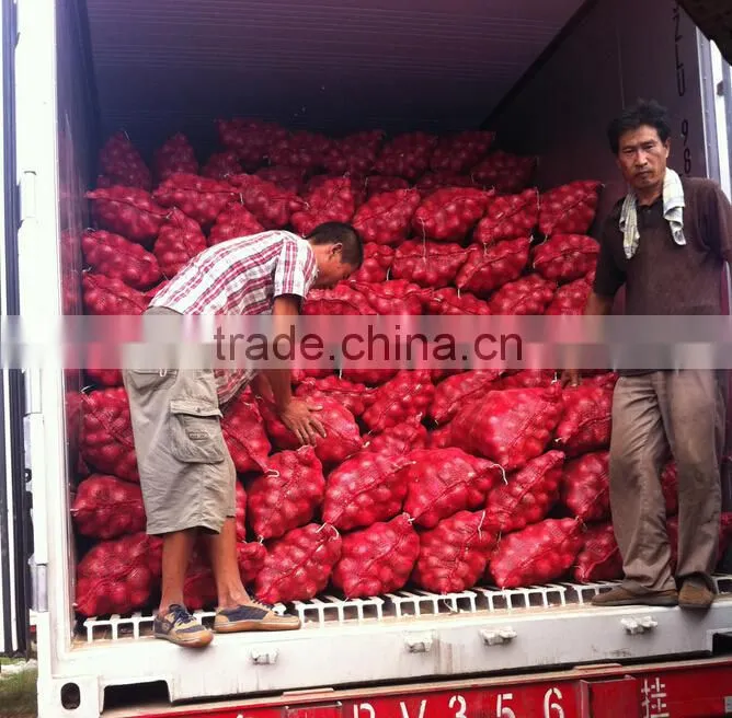 2016 new crops red onion