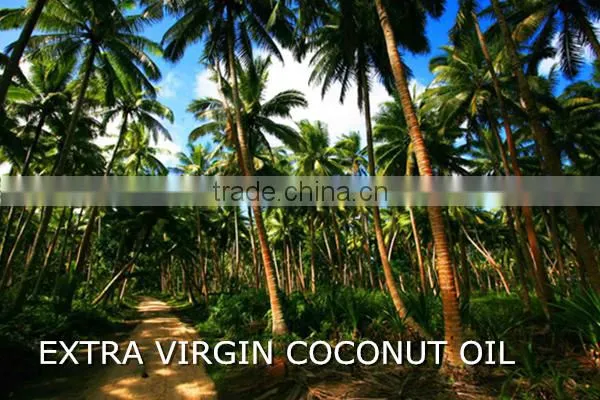 Hot selling extra virgin coconut oil(VCO)for cooking,skin care
