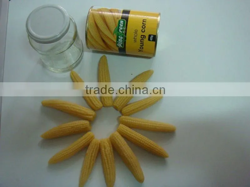 canned marinated baby corn