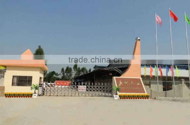 alibaba 2015 wholesale customized bended plywood