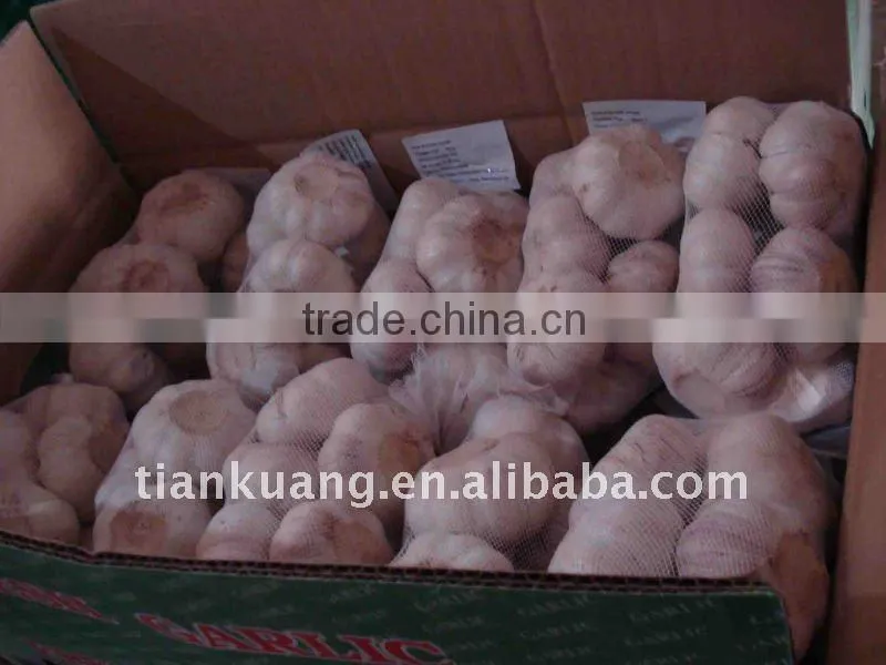 china cheap garlic