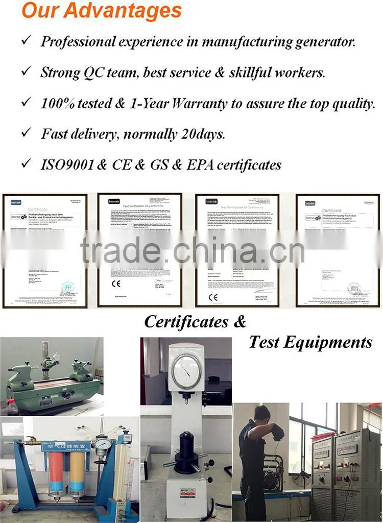 BISON(CHINA) Small 12v DC Gasoline Generator