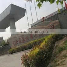 Henan Fuxin Glass Co., Ltd. company overview - view 1