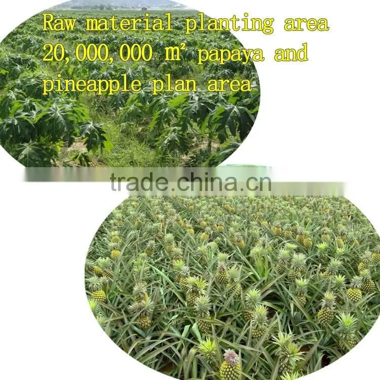 Food grade plant extract manufacturer direct selling pineapple extract powder bromelain