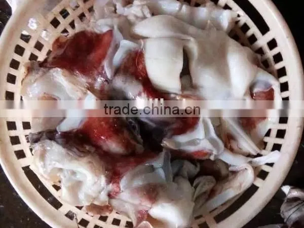 frozen giant Peru squid neck raw squid necks