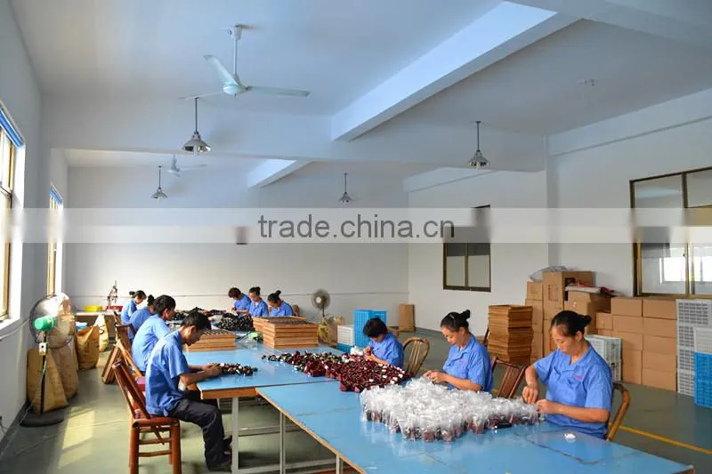 thermo moulding plastic ( POM material ,for home windows )