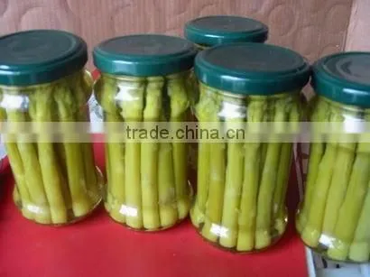 China New crop canned asparagus Canned vegetables Canned White Whole Asparagus