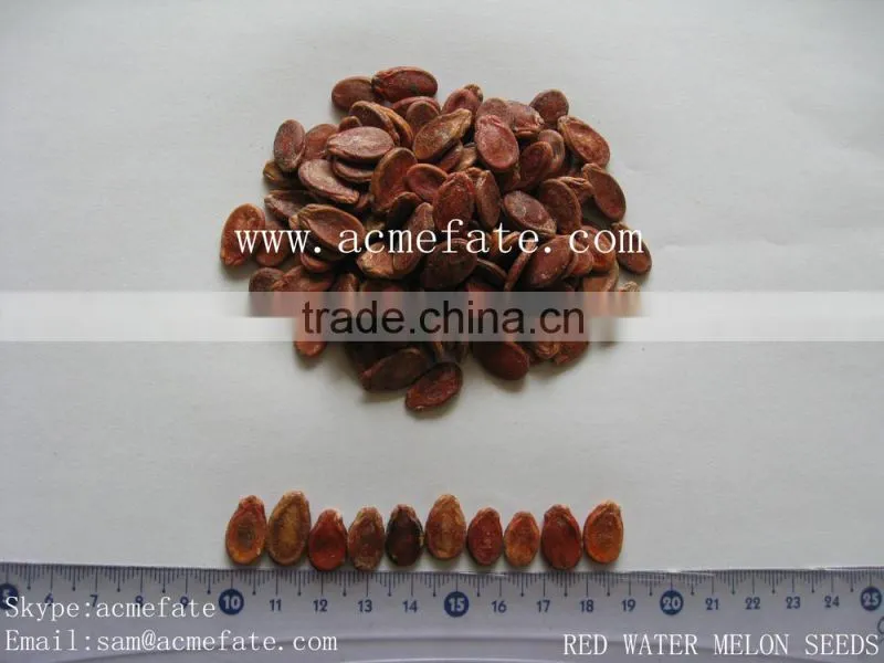 wholesale delicious red watermelon seeds