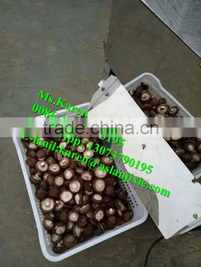 Mushroom leg and cap separator machine / Mushroom stem removal machine