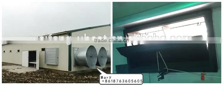 U-BEST full automatic poultry equipment for breeder chicken