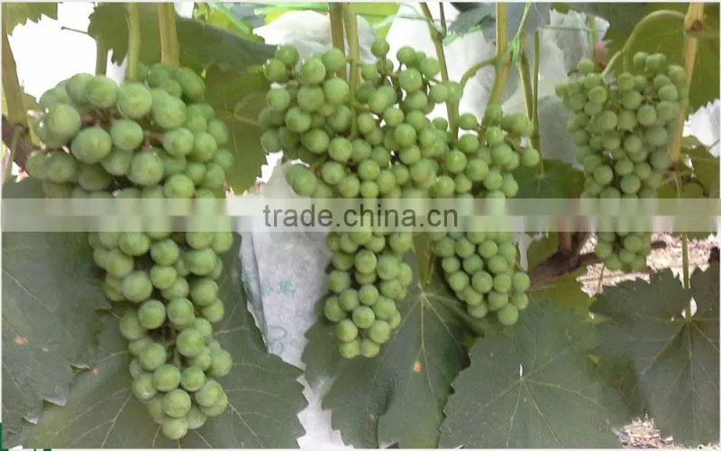 Soluble Humic Acid Power organic Fertilizer price