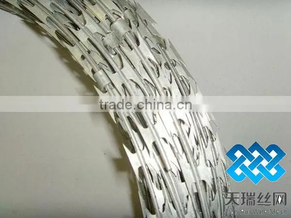 High quality galvanized razor wire with clips