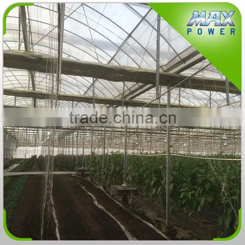 multi-span polycarbonate hollow sheet greenhouse