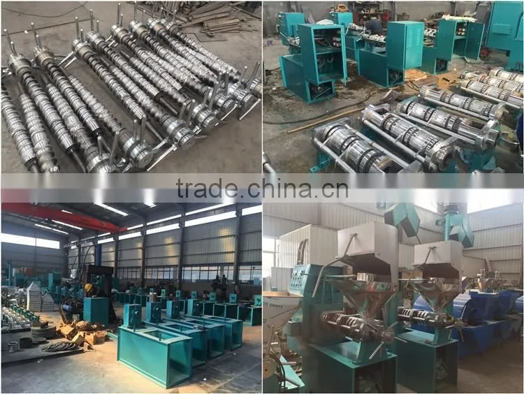 HSM ISO CE Mini Home Use Oil Press Machine Price