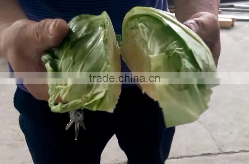 Fruit Vegetable Squash Half Cutting Machine