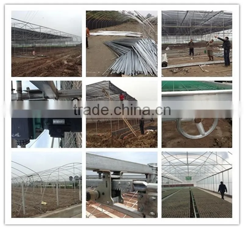 Factory Price High Quality Poly Carbonate Vegetable Greenhouse