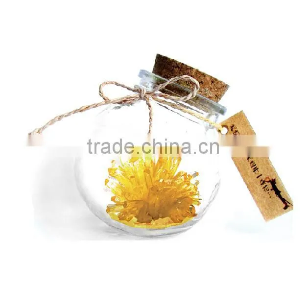 indoor plants new kids toys for 2016