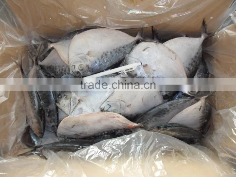 frozen moonfish150-200g/pc whole round IQF Mene Maculata