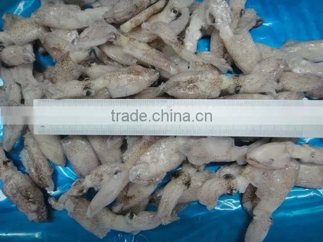 Best Cooking Frozen Squid